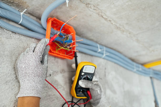 Best Ceiling Fan Installation Electrician  in Columbia, IL