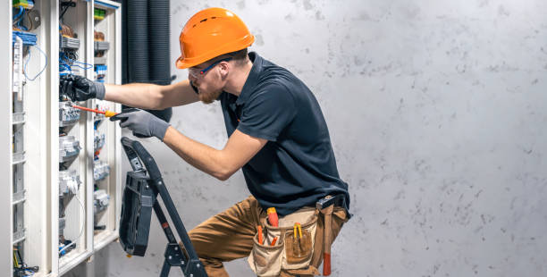 Best Electric Panel Repair  in Columbia, IL